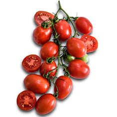 Several A Grappoli D Inverno Tomatoes on a vine on a white background.