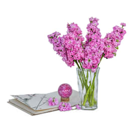 FL981-Stock_Seeds_-