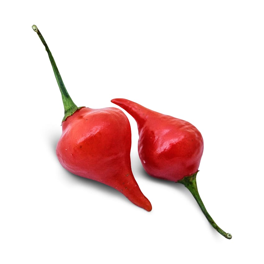 Biquinho Red Hot Pepper Seeds | RareSeeds.com