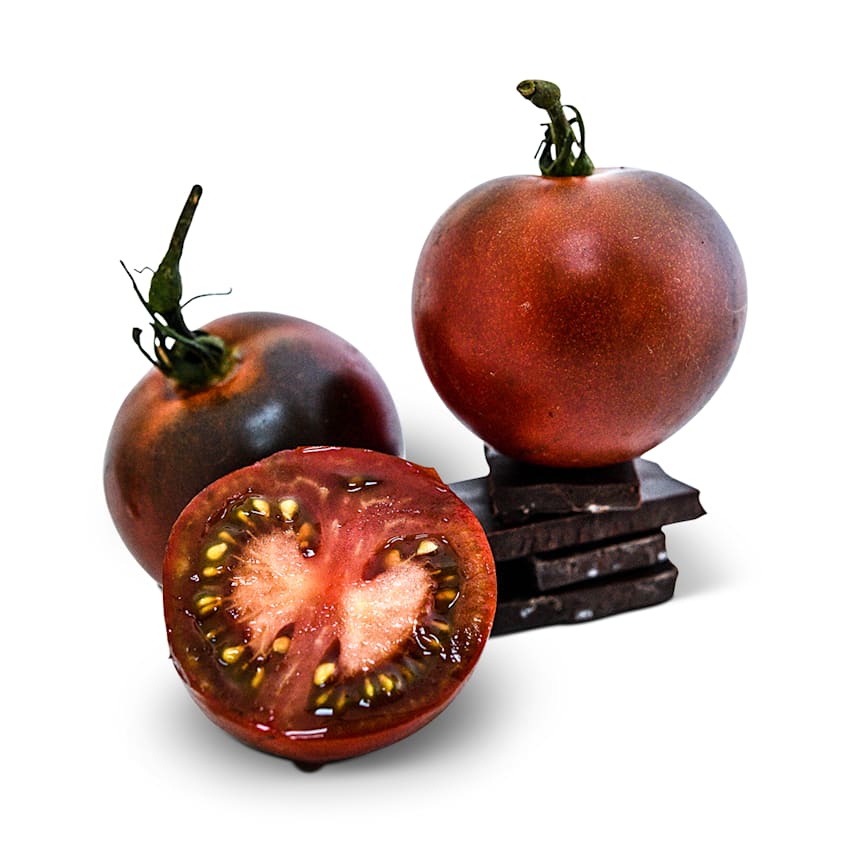 Indigo Blue Chocolate Tomato Seeds | Baker Creek Seeds