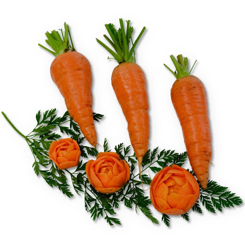 Danvers 126 Half Long Carrot Seeds | RareSeeds.com