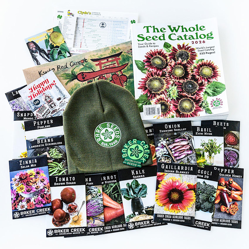 Holiday Gift Collection 2026