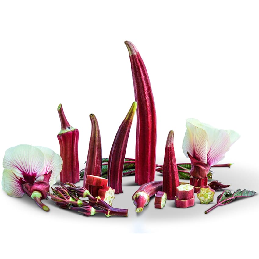 Jing Orange Okra Seeds | Baker Creek Heirloom Seeds