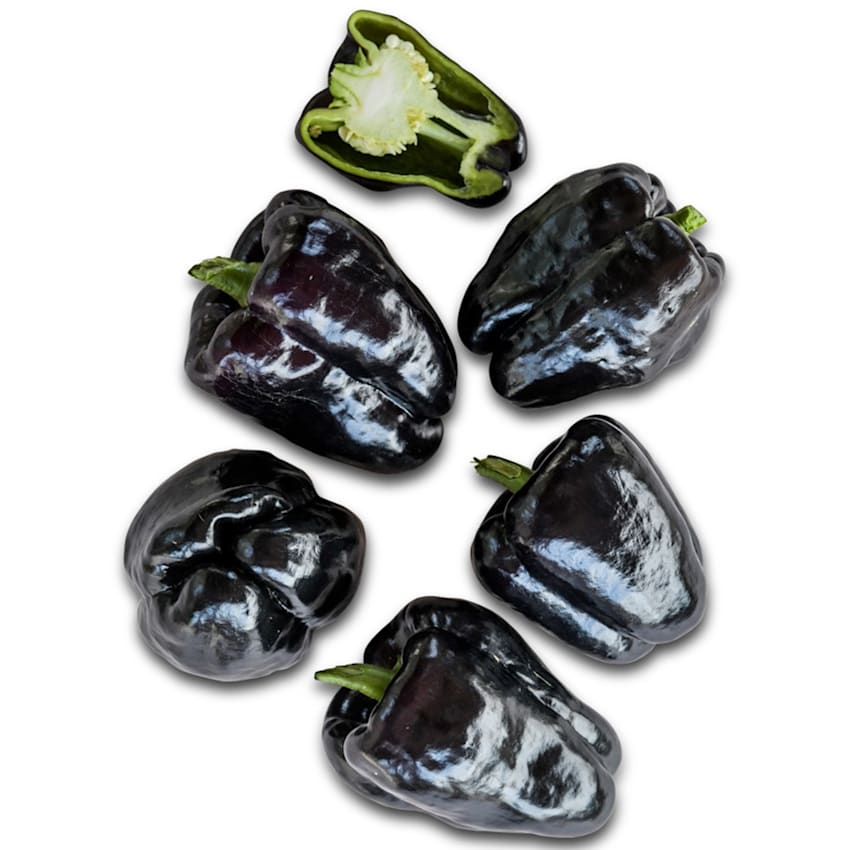 pepper_sweet_zulu.jpg?_i=AB