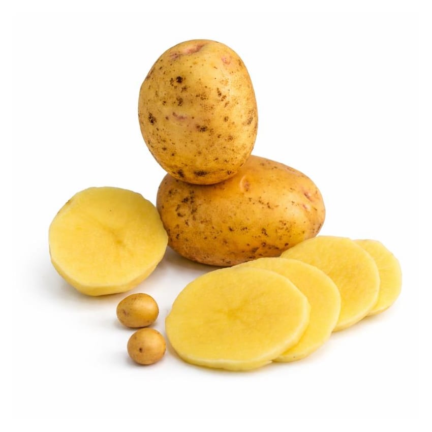 Yukon Gold Kartoffel - Symbolbild für das Casino-Thema