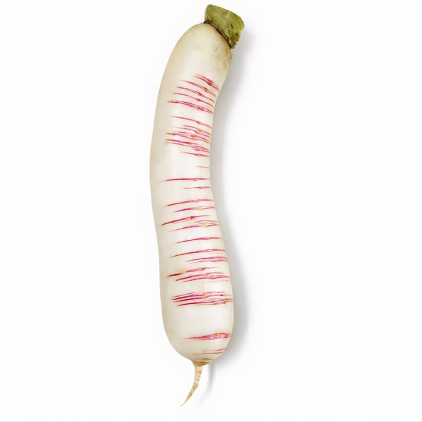 Akasuji Radish Seeds | Baker Creek Heirloom Seeds