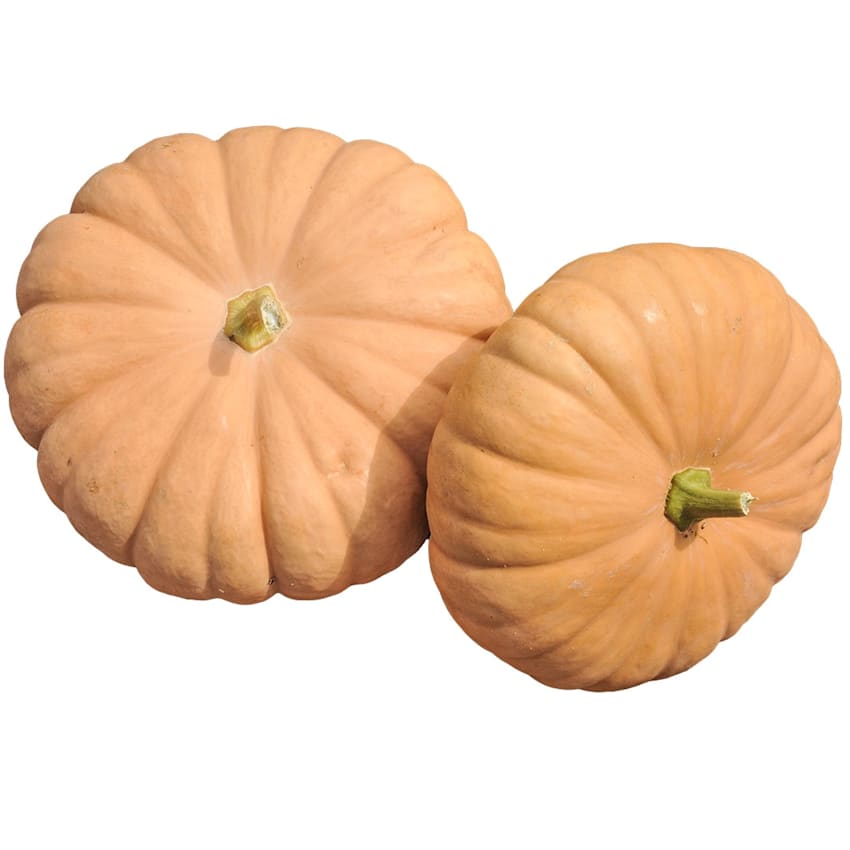 Long Island Cheese Pumpkin Squash Seeds | RareSeeds.com
