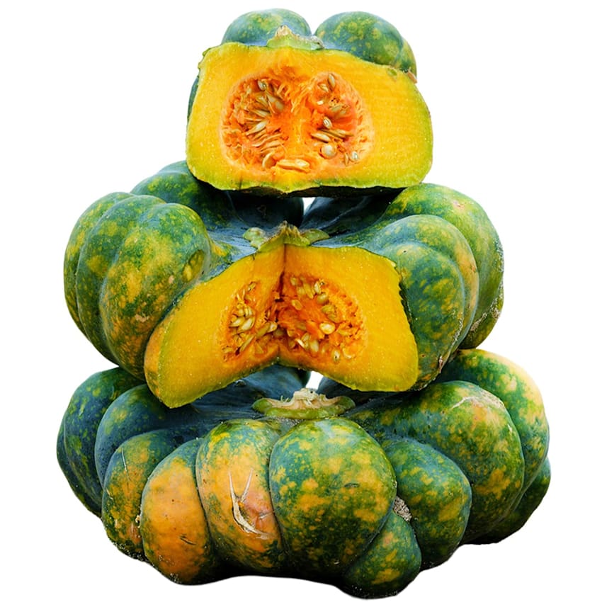 Dark Green Yuxi Jiang Bing Gua Squash Seeds | RareSeeds.com