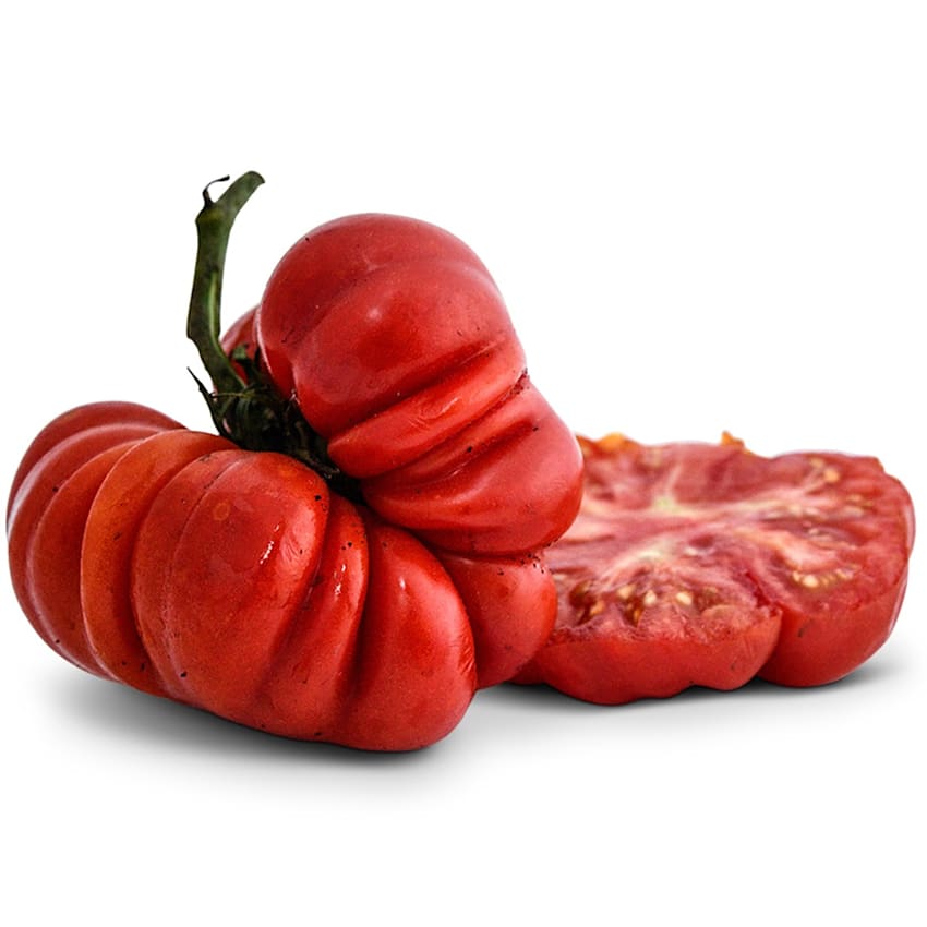 Costoluto Genovese Tomato Seeds | Baker Creek Heirloom Seeds