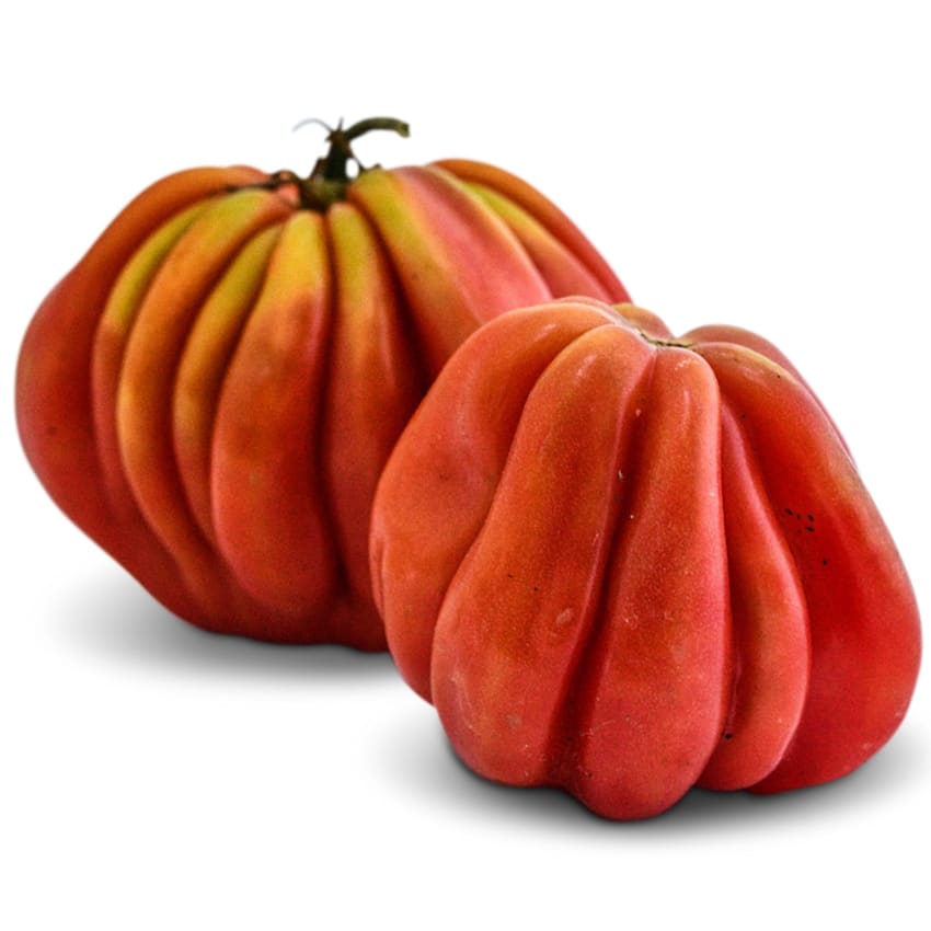 Gezahnte Tomato | Baker Creek Heirloom Seeds