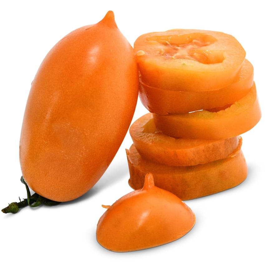 Orange Icicle Tomato Seeds | Baker Creek Seeds