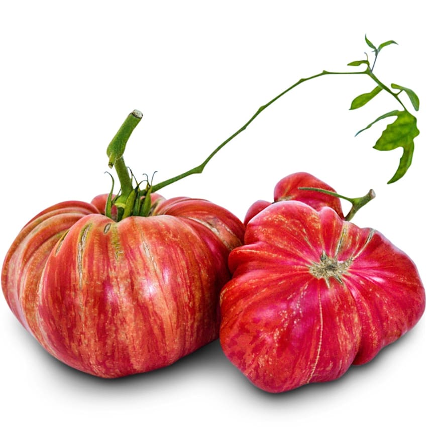 Pink Jazz Tomato Seeds | Baker Creek Heirloom Seeds