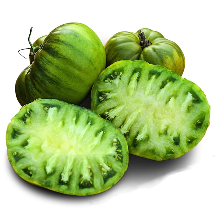 Spear's Tennessee Green Tomato | Baker Creek Heirloom Seeds