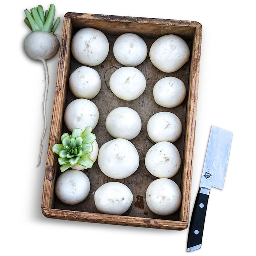 Tokinashi Turnip Seeds | Baker Creek Heirloom Seeds