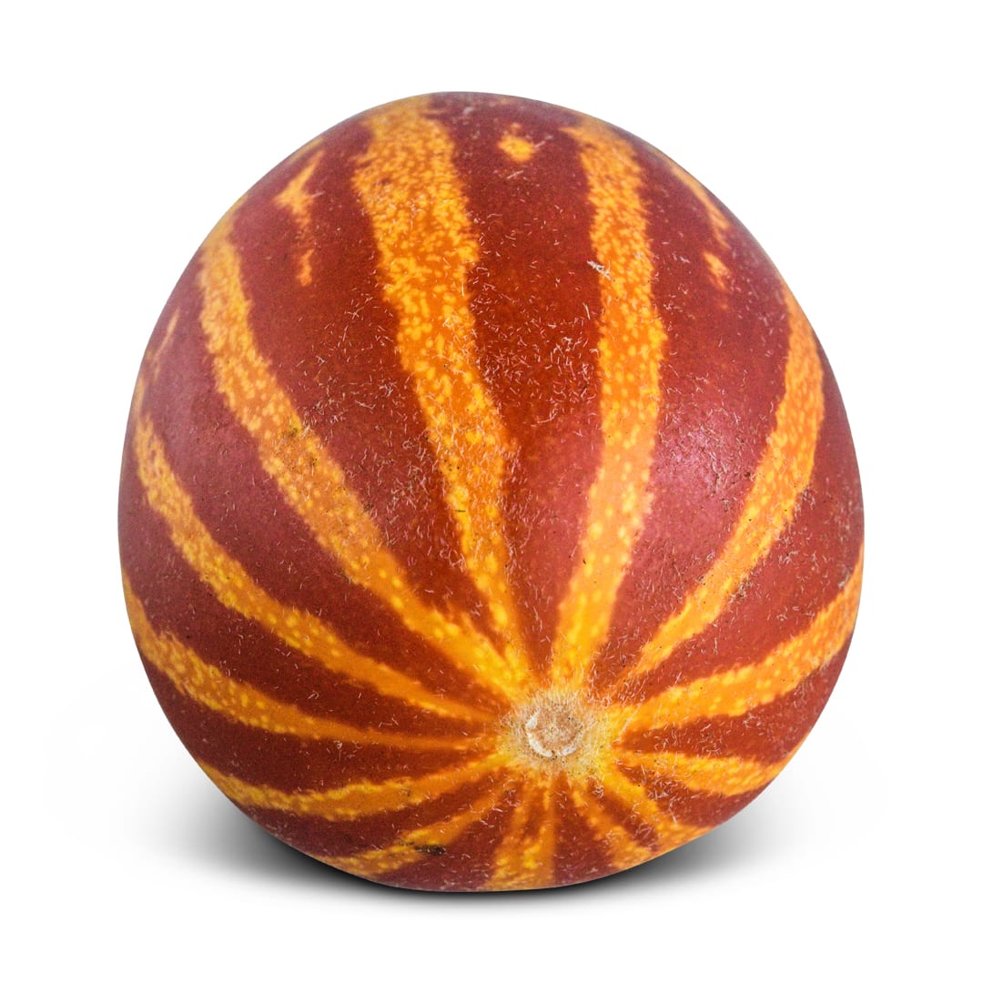 Semi Di Melone Rich Sweetness 132 Dalla Russia - 5+ Semi - Valeyrac Exotics CM 044