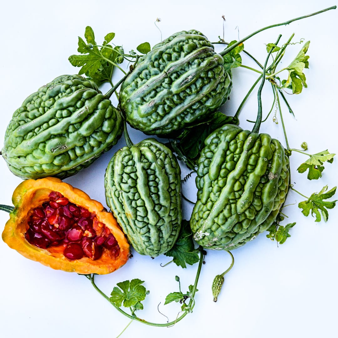 Big Top Bitter Melon Seeds | Baker Creek Seeds
