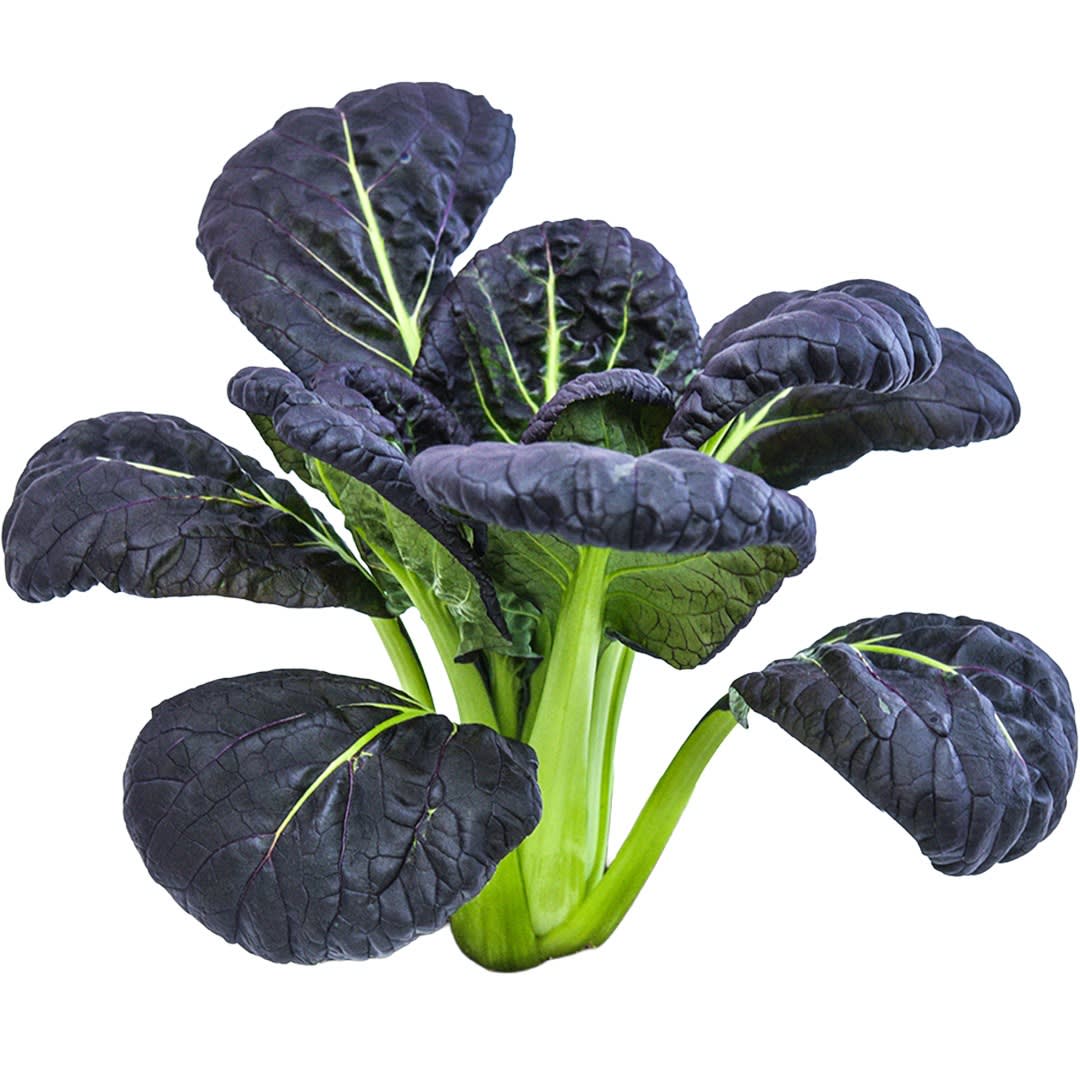 Purple Lady Bok Choy Seeds | Baker Creek Heirloom Seeds