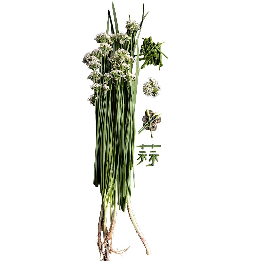 Chive Seeds, Chinese