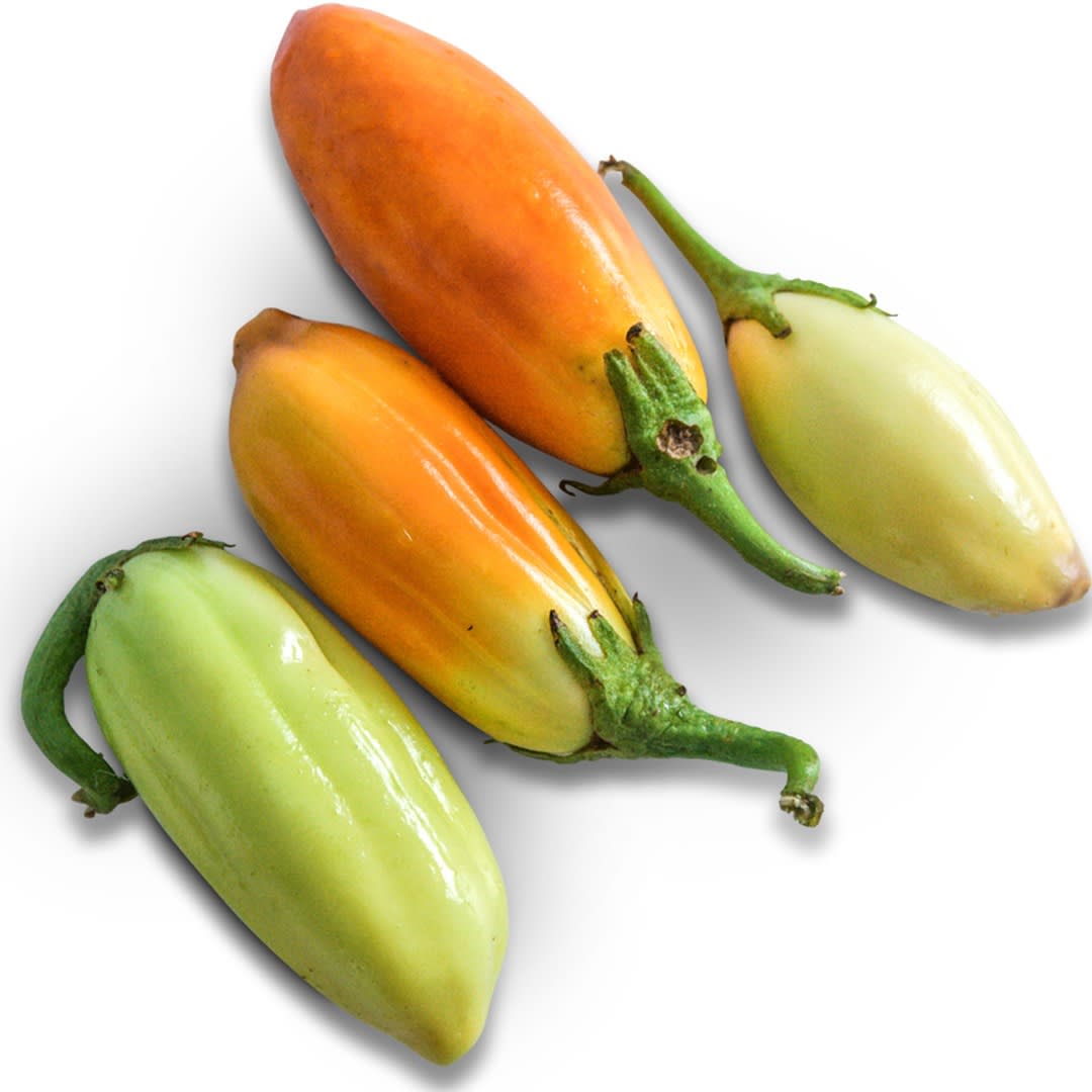 African White Eggplant Seeds | Baker Creek Heirloom Seeds
