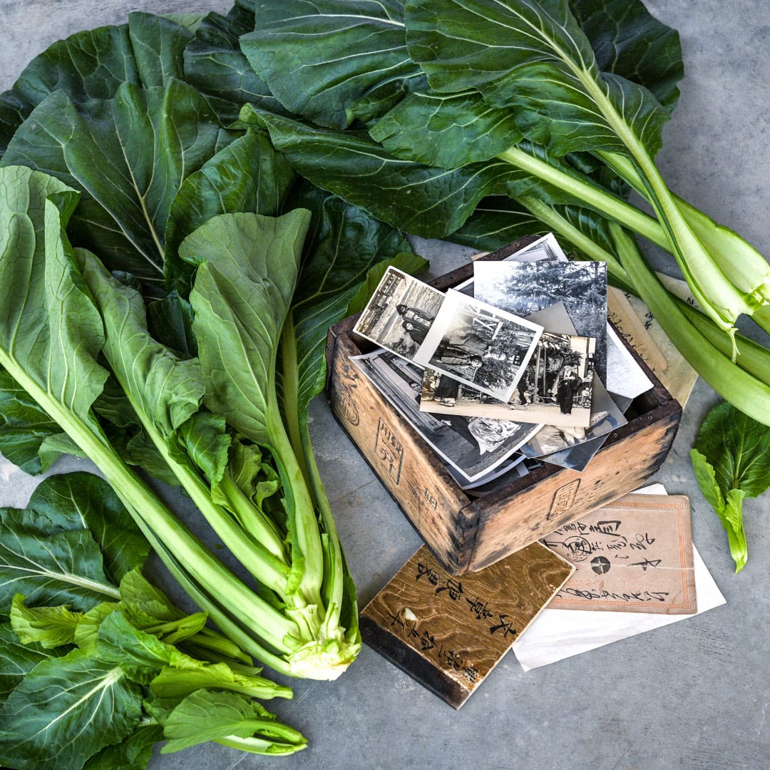 120 seeds of Komatsuna (Mustard Spinach) price in Saudi Arabia | Amazon Saudi Arabia 120 seeds of Komatsuna (Mustard Spinach) price in Saudi Arabia | Amazon Saudi Arabia