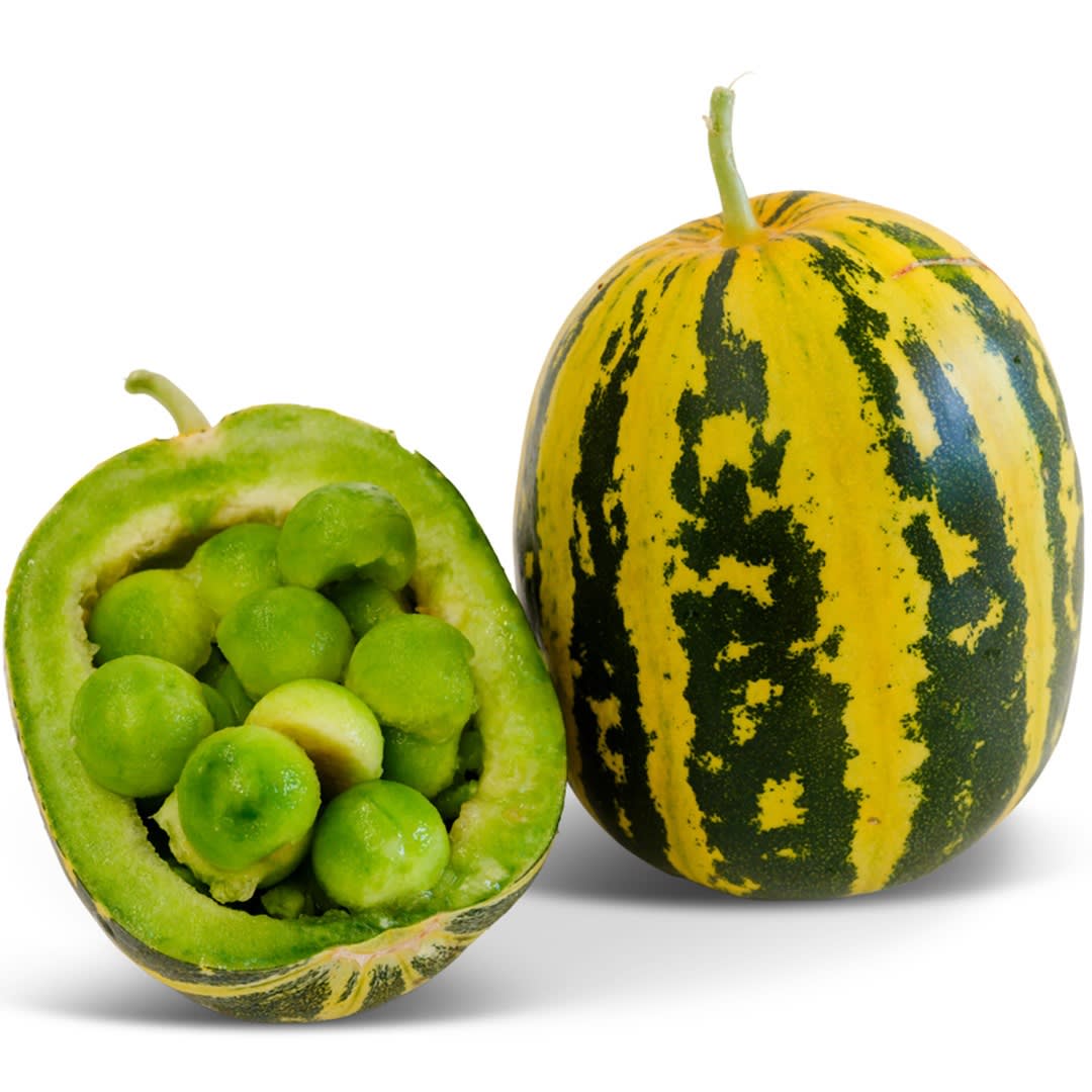 その他 melon_lovot Japanese Tiger Melon Seeds | Baker Creek Heirloom Seeds