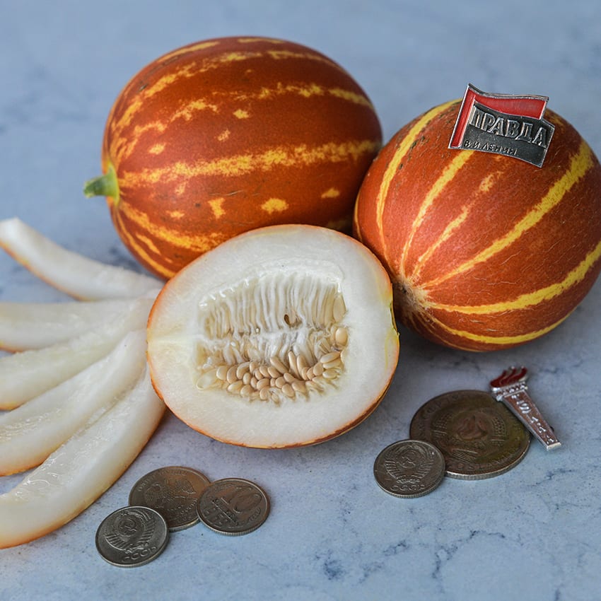 melon様 Melon Shork - Kaiju Paradise Wiki