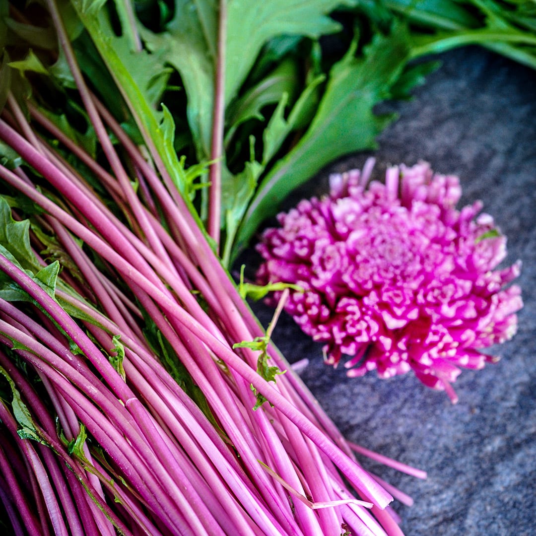 Pinky Pop Mizuna Seeds | Baker Creek Heirloom Seeds