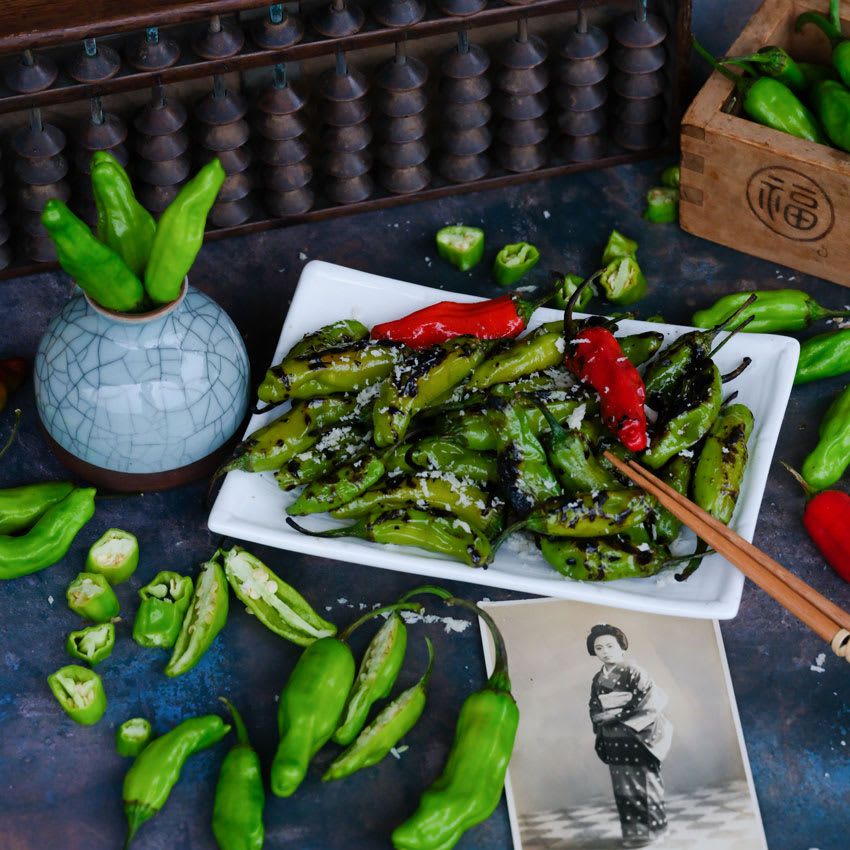 ペッパーペッパー Shishito Pepper Seeds | Baker Creek Heirloom Seeds