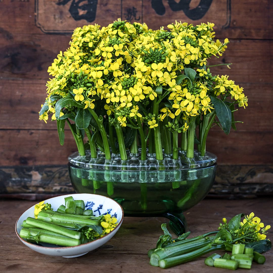 50-Day Choy Sum Seeds | Baker Creek Heirloom Seeds