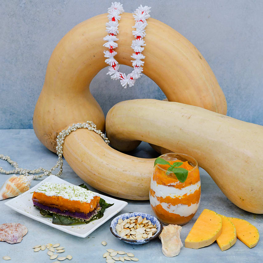 Tahitian Melon Squash Seeds | Baker Creek Heirloom Seeds