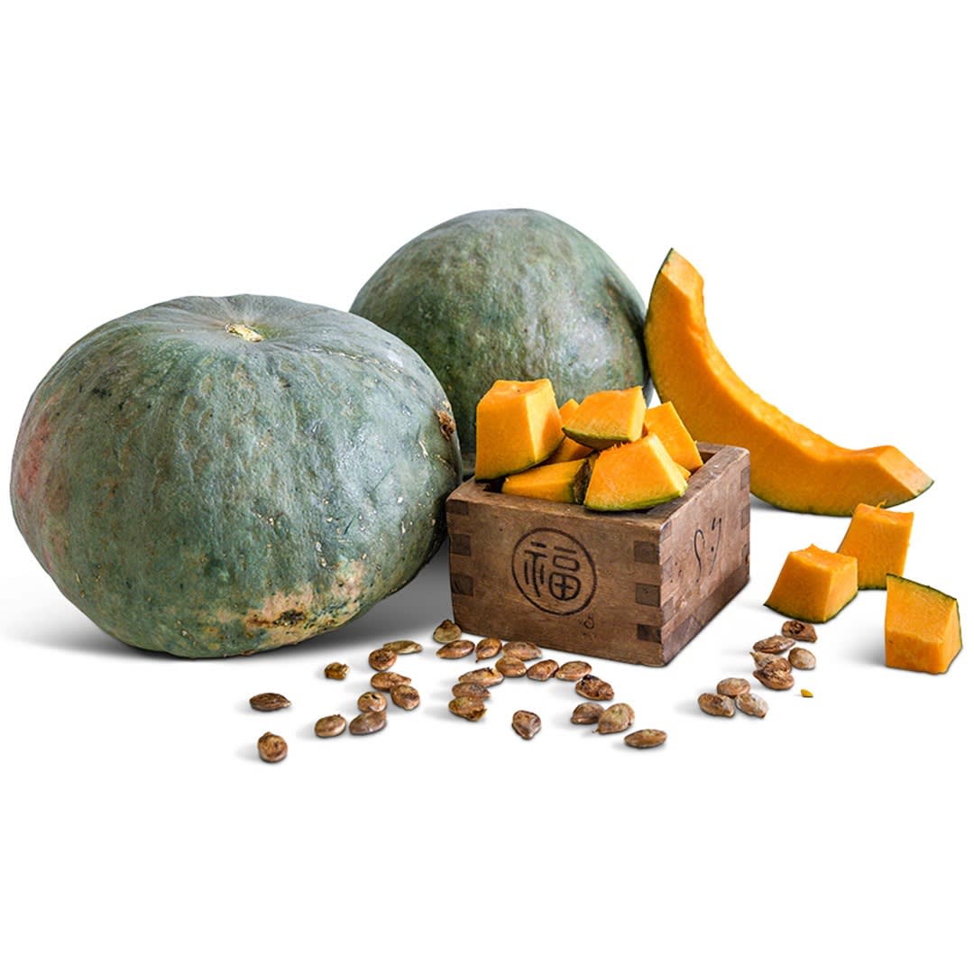 セシボン(sakuraどんどんケビン) Tokyo Blue Squash Seeds | Baker Creek Heirloom Seeds