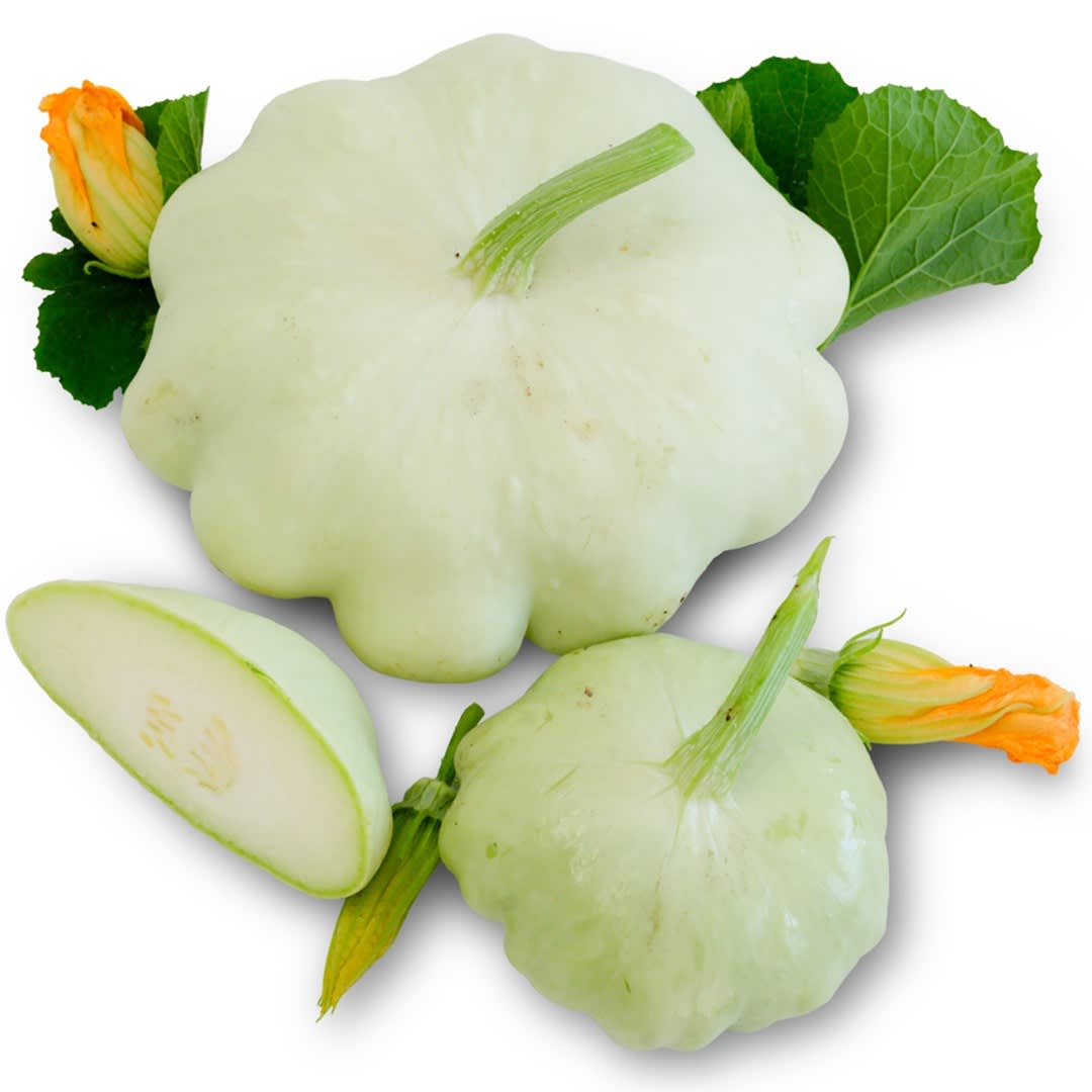 thumbnail image 2 of TomorrowSeeds Benning’s Green Tint Patty Pan Squash – 40+ Seeds, 2025 Harvest 2 of 2