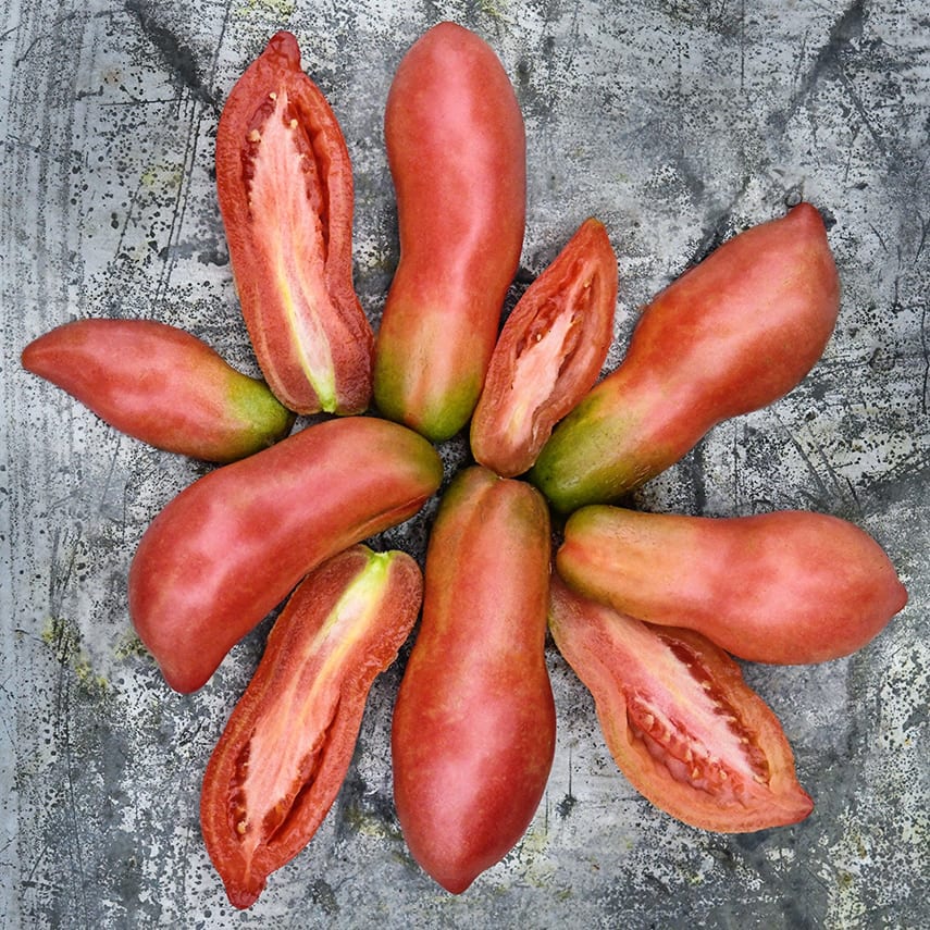 Pink Fang Tomato Seeds | Baker Creek Heirloom Seeds