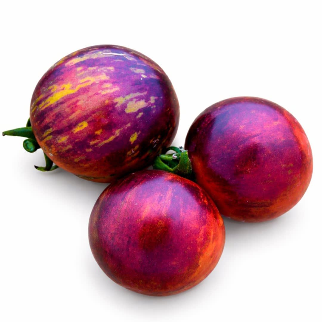 Black Strawberry Tomato Seeds | Baker Creek Heirloom Seeds
