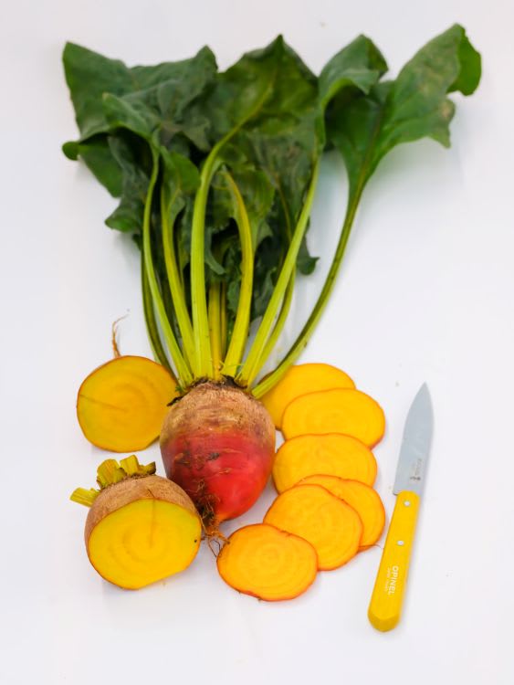 A whole golden beet with greens surrounded by beet slices on a white background