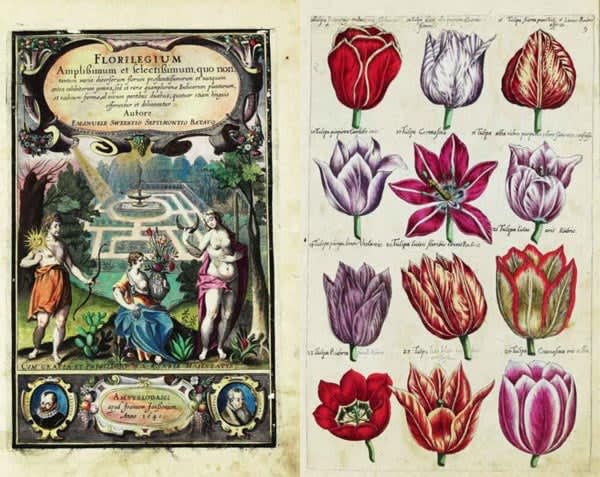 Blog post image 3