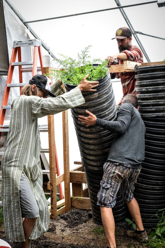 Three men maneuver a large, eight-foot corrugated tube to the ground as they harvest a very long carrot grown in the tube.