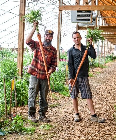 Two men in a greenhouse hold their harvest of very long carrots called Manpukuji