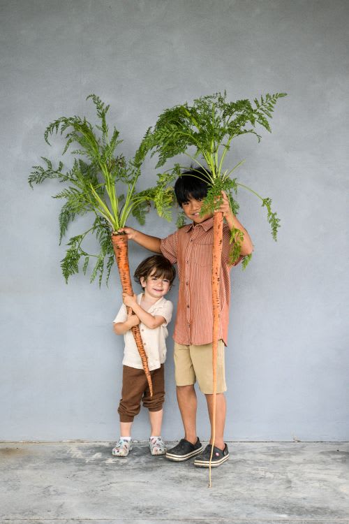 Two boys hold very long carrots (Manpukuji) against a light blue wall