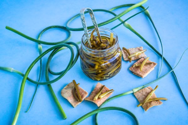 German Extra Hardy garlic with pickled scapes on a blue background