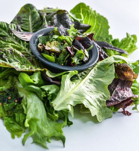 A pile of lettuce with a bowl of salad atop it on a white background