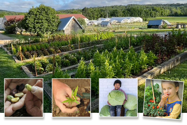 Photo of a hand overlayed with photos of seeds, seedlings and children holding cabbage and tomatoes