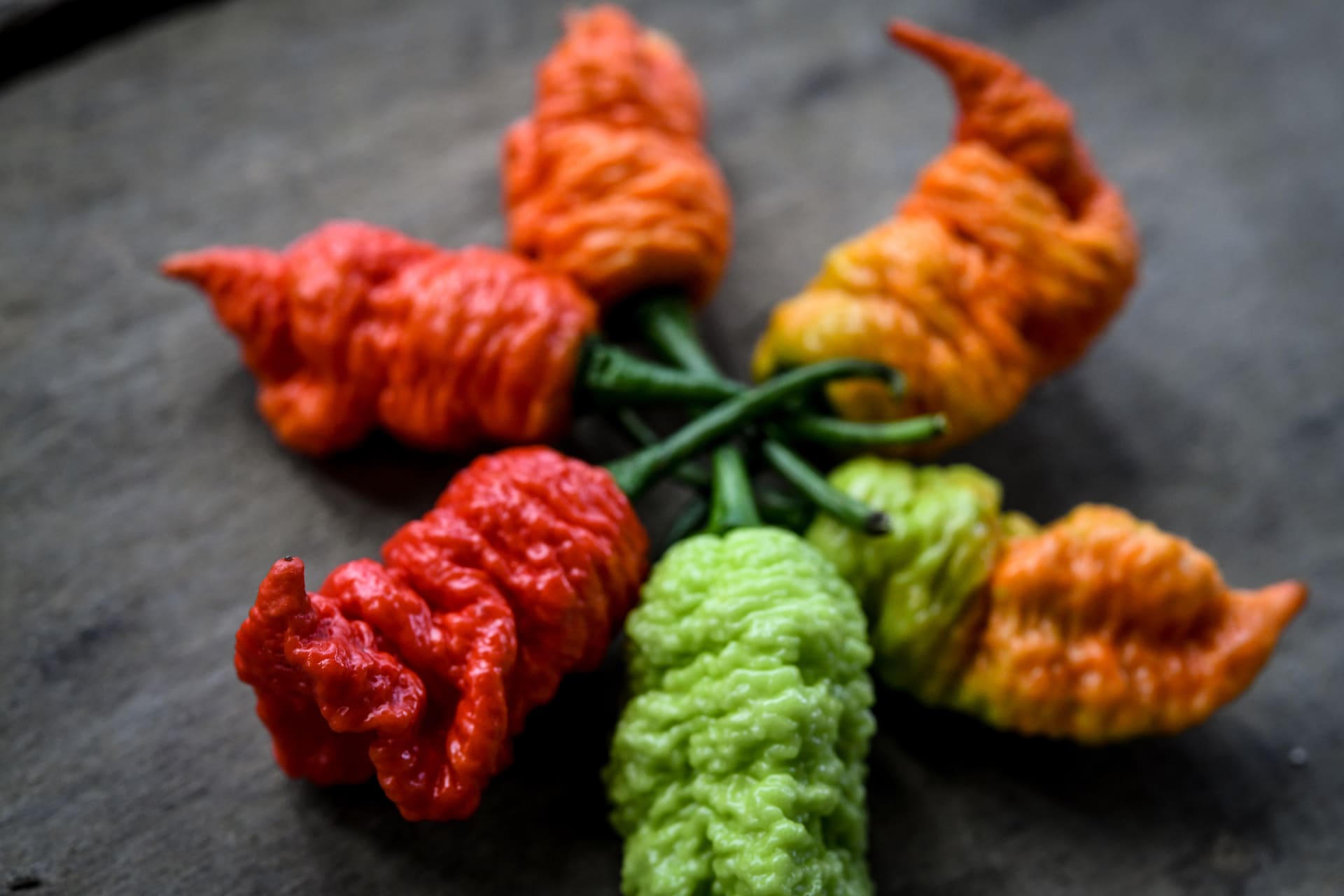 Grouping of Death Spiral peppers in various colors
