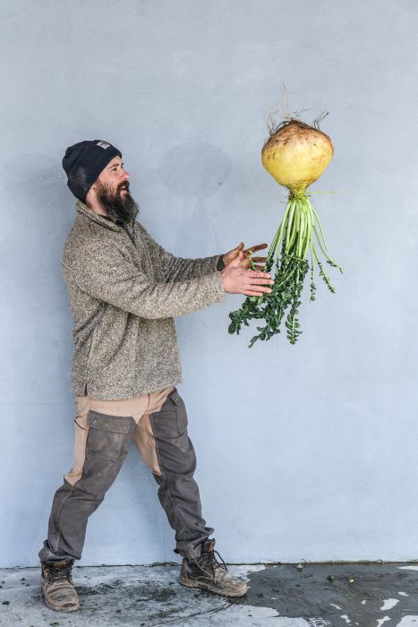 Bearded man in winter clothing catches a very large round daikon radish