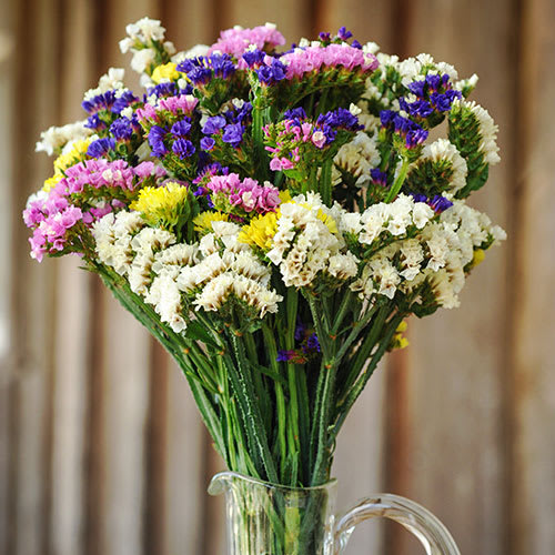 Blog post image 1