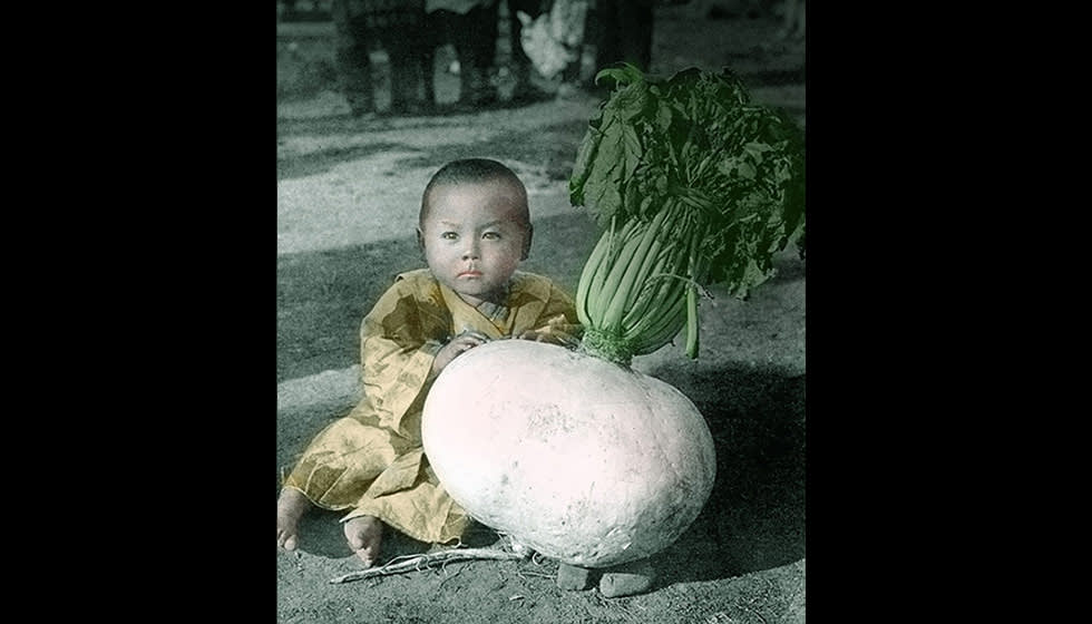 vintage photo of young Japanese boy sitting next to a white radish almost as big as he is