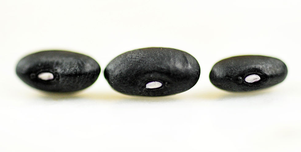 three dried black beans on a white background