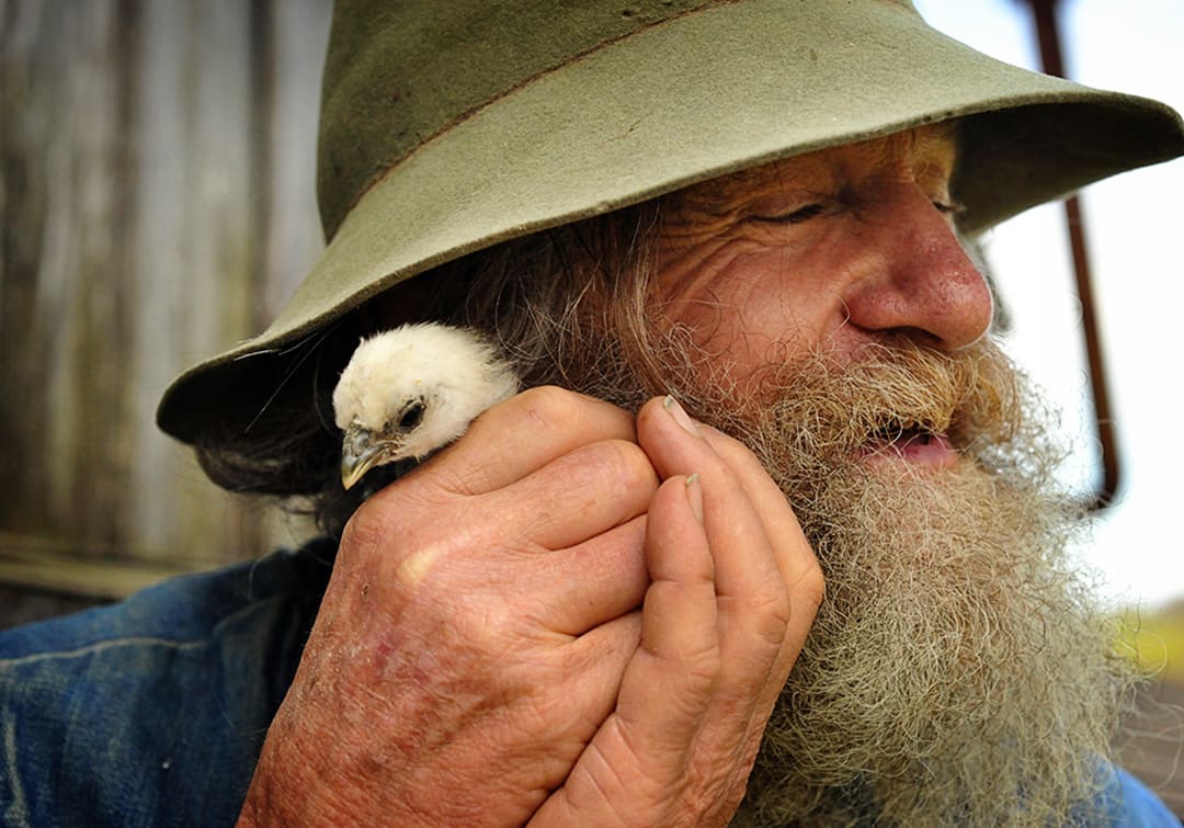 Dave, wearing a battered old felt hat, cradling a small chicken next to his ear