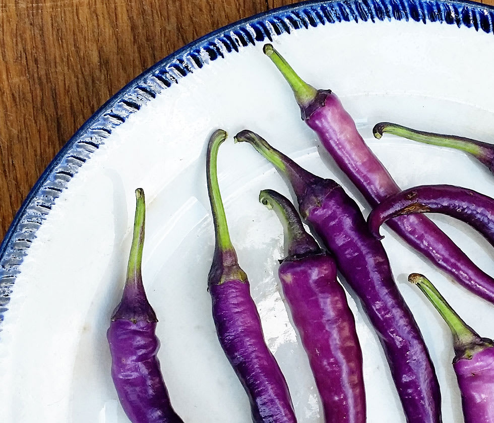 close up of purple peppers on white plate