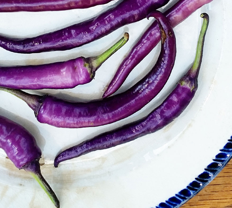 close up of purple peppers on white plate with blue rim